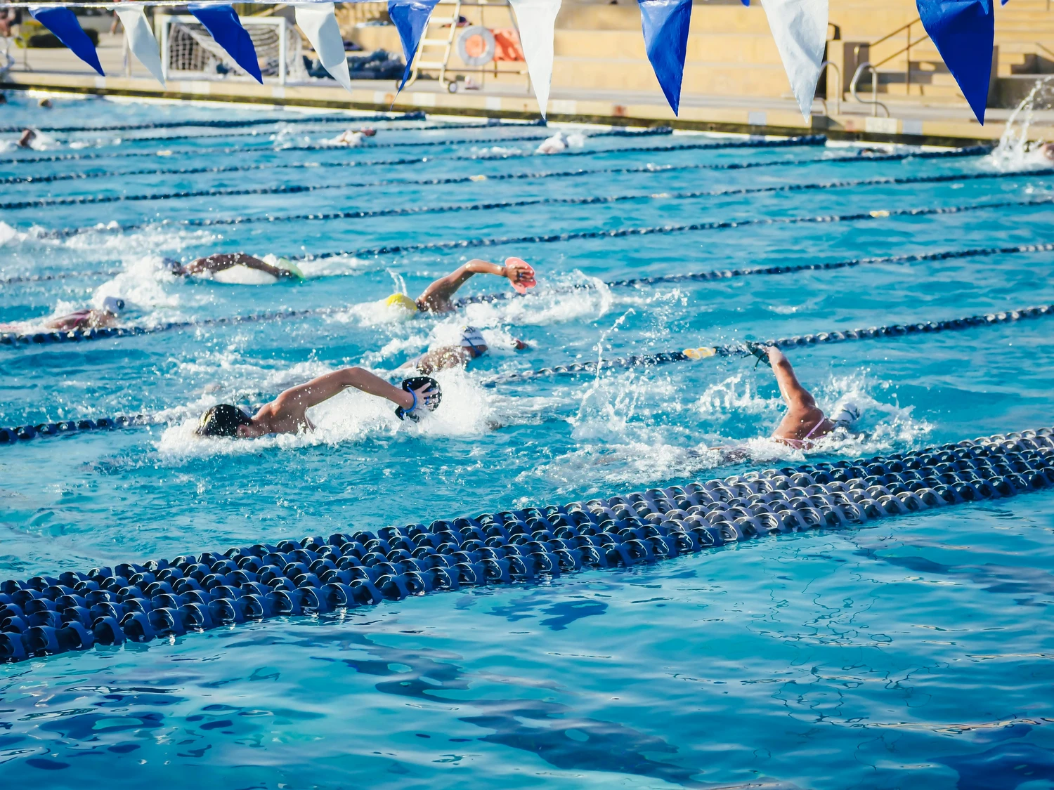 Hai Five - Schwimmschule - Schwimmer liefern sich ein Freistil-Rennen in einem großen Freibad.